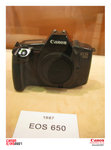 IMG_8810 copy