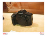 IMG_8811 copy
