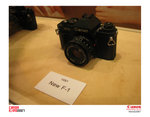 IMG_8813 copy
