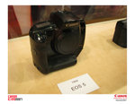 IMG_8815 copy