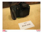 IMG_8816 copy