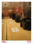 IMG_8819 copy