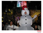 IMG_9044 copy