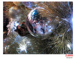 IMG_9065 copy