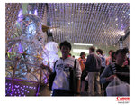 IMG_9075 copy