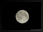 IMG_6222 copy
