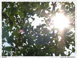 IMG_5814 copy