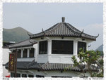 IMG_5893 copy