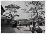 IMG_5962 copy