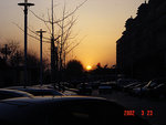 Picture 008