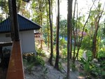 A view from the balcony