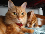 Lumpy and Mini-Me