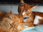 Lumpy and Mini-Me