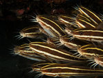 
P4293876