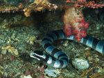 
P4293905