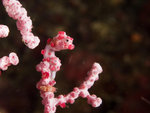 
P4303937