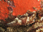 


P4303952