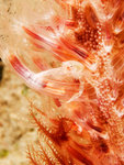 

P4303962