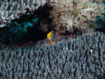 P2025458