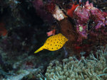 P2025480