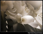 P9031272