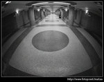P9031293