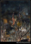 P5310140