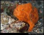 P5310145