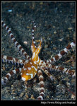 P5310195