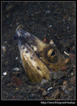 P5310228