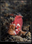 P5310260