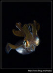 P5310267