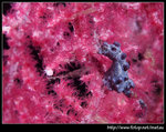 P6010280