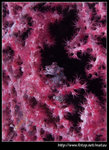 P6010282