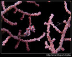 P6010293