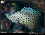 P6010303