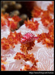 P6010307