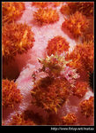 P6010310