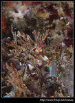 P6010326