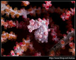 P3052609