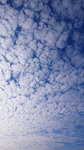 P 017a