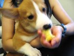 Yummy!