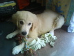 DSC01500