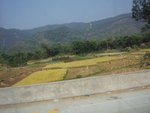 PA302970