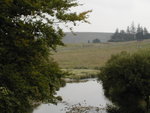 Dartmoor...