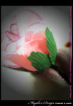 DSCF1798