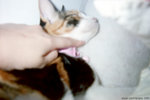 ememory_0006 copy