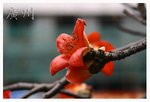 �s�{�����