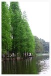 �S����