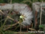 DSCN0487